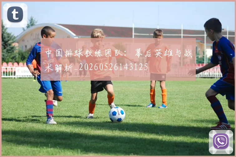中国排球教练团队:幕后英雄与战术解析_20260526143125