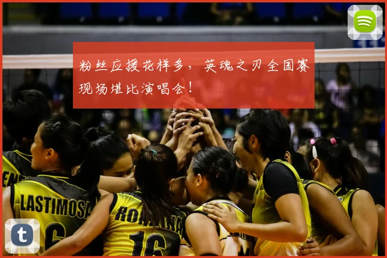 粉丝应援花样多，英魂之刃全国赛现场堪比演唱会！