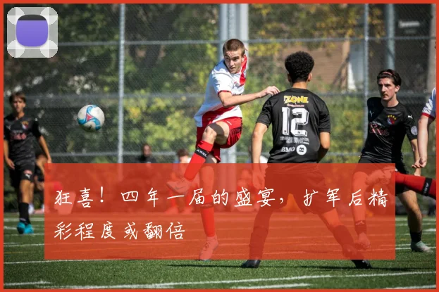 狂喜！四年一届的盛宴，扩军后精彩程度或翻倍