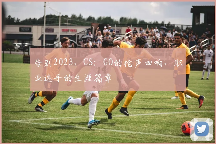 告别2023，CS：GO的枪声回响，职业选手的生涯篇章